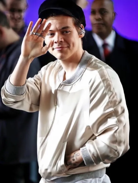 Screenshots Harry Style Metallic Bomber Jacket